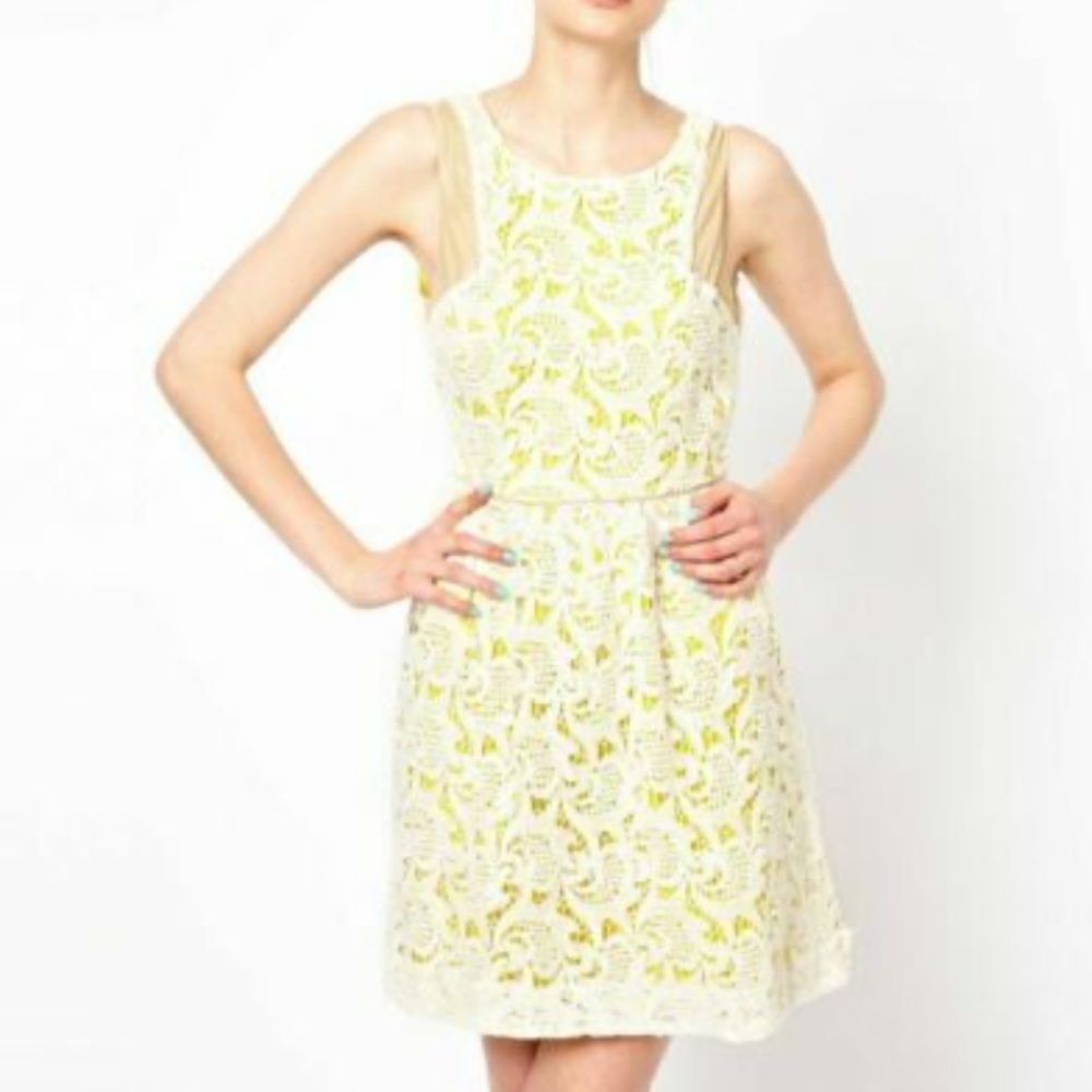 Anthropologie Greylin Valencia Lace Fit and Flare Yellow and White Cotton Dress